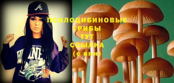каннабис Богданович